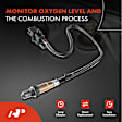 APOS0726 Upstream O2 Oxygen Sensor