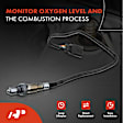APOS0729 Upstream O2 Oxygen Sensor