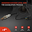 APOS0732 Upstream O2 Oxygen Sensor