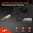 APOS0741 Upstream O2 Oxygen Sensor