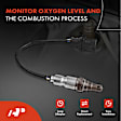 APOS0742 Upstream O2 Oxygen Sensor