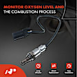 APOS0743 Upstream O2 Oxygen Sensor
