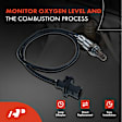 APOS0750 Upstream Left or Right O2 Oxygen Sensor