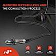 APOS0753 Upstream O2 Oxygen Sensor