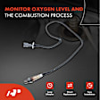 APOS0763 Downstream O2 Oxygen Sensor