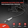 APOS0766 Downstream O2 Oxygen Sensor
