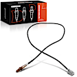 APOS0774 Downstream O2 Oxygen Sensor