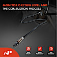 APOS0782 Downstream O2 Oxygen Sensor