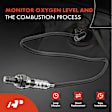 APOS0786 Upstream O2 Oxygen Sensor