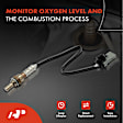 APOS0787 Upstream O2 Oxygen Sensor
