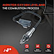 APOS0791 Center O2 Oxygen Sensor
