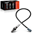 APOS0793 Downstream O2 Oxygen Sensor