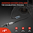 APOS0793 Downstream O2 Oxygen Sensor