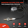 APOS0800 Upstream Left or Right O2 Oxygen Sensor