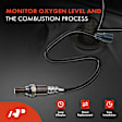 APOS0801 Upstream O2 Oxygen Sensor