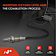 APOS0803 Upstream O2 Oxygen Sensor