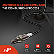 APOS0805 Upstream O2 Oxygen Sensor