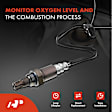 APOS0810 Upstream O2 Oxygen Sensor