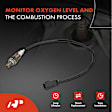 APOS0811 Upstream O2 Oxygen Sensor