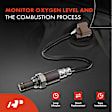 APOS0812 Upstream O2 Oxygen Sensor