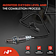 APOS0813 Upstream O2 Oxygen Sensor