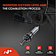 APOS0819 2x Downstream Left & Right O2 Oxygen Sensor