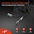 APOS0820 2x Upstream Front & Rear O2 Oxygen Sensor