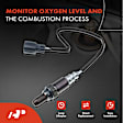 APOS0821 2x Upstream Left & Right O2 Oxygen Sensor