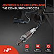 APOS0822 2x Upstream Left & Right O2 Oxygen Sensor