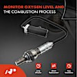 APOS0823 2x O2 Oxygen Sensor