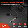 APOS0827 2x Upstream Left & Right O2 Oxygen Sensor