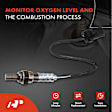 APOS0830 2x Downstream Left & Right O2 Oxygen Sensor