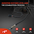 APOS0833 2x Upstream Left & Right O2 Oxygen Sensor