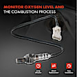 APOS0837 2x Upstream Front & Rear O2 Oxygen Sensor