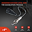 APOS0841 2 Pcs Upstream Left & Right O2 Oxygen Sensor