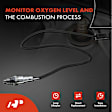 APOS0843 2x Downstream Left & Right O2 Oxygen Sensor
