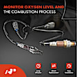 APOS0854 2 Pcs Upstream & Downstream O2 Oxygen Sensor