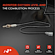 APOS0863 2 Pcs O2 Oxygen Sensor