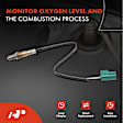 APOS0865 2 Pcs O2 Oxygen Sensor