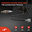 APOS0871 2 Pcs Upstream & Downstream O2 Oxygen Sensor