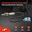 APOS0879 4 Pcs Upstream & Downstream O2 Oxygen Sensor