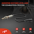 APOS0886 2 Pcs Upstream & Downstream O2 Oxygen Sensor