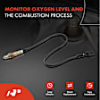 APOS0888 2 Pcs Upstream & Downstream O2 Oxygen Sensor