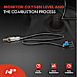 APOS0890 4 Pcs Upstream & Downstream O2 Oxygen Sensor