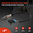APOS0892 4 Pcs Upstream & Downstream O2 Oxygen Sensor