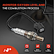 APOS0898 2 Pcs Downstream Front & Rear O2 Oxygen Sensor