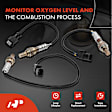 APOS0901 4 Pcs Upstream & Downstream O2 Oxygen Sensor