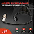 APOS0902 4 Pcs Upstream & Downstream O2 Oxygen Sensor