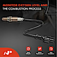 APOS0904 2 Pcs Upstream & Downstream O2 Oxygen Sensor