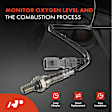 APOS0906 2 Pcs Downstream Front & Rear O2 Oxygen Sensor